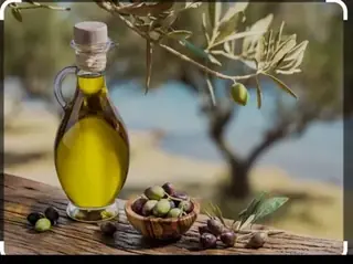Maslinovo ulje i vino